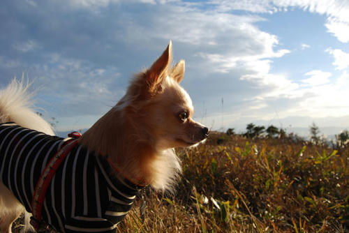 071022_roy12.jpg