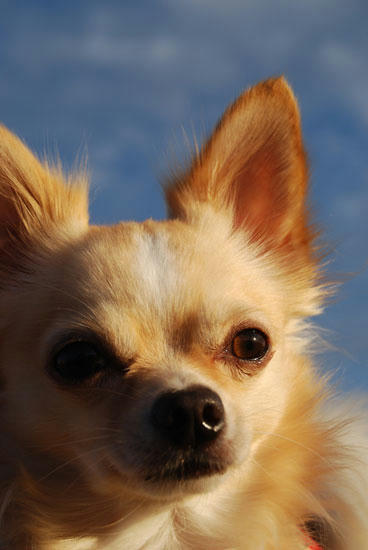 071022_roy22.jpg