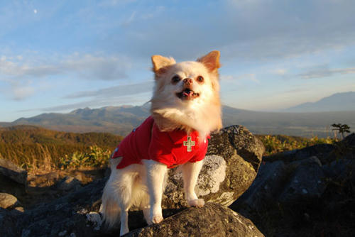 071022_roy27.jpg