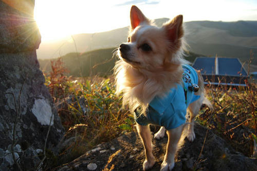 071022_roy38.jpg