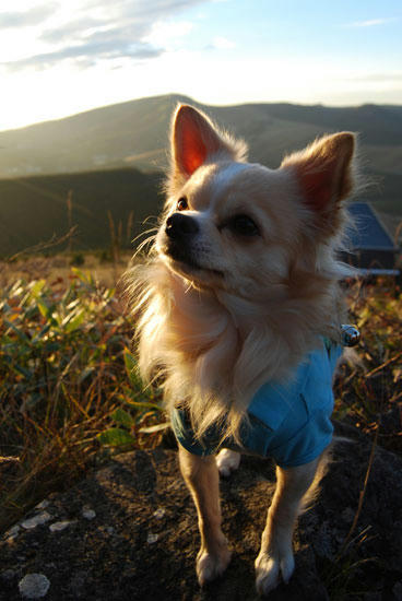 071022_roy39.jpg