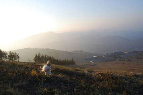 071023_roy28.jpg