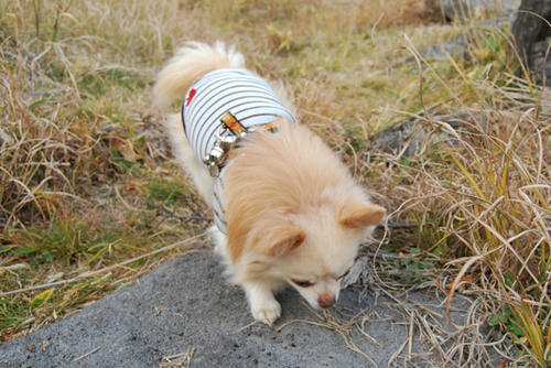071030_miha6.jpg