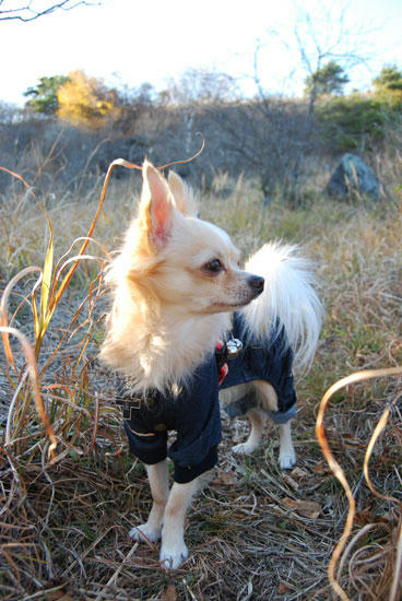 071103_miha11.jpg