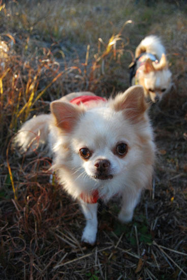 071103_miha12.jpg