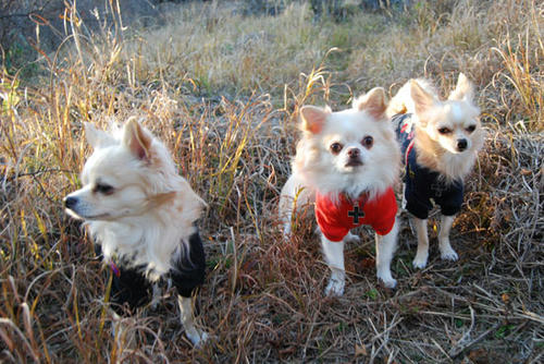 071103_miha13.jpg