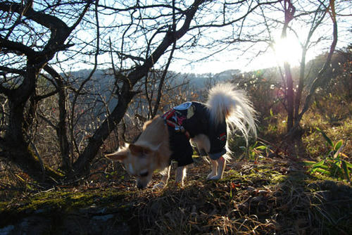 071103_miha17.jpg