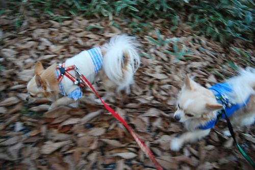 071107_keir3.jpg