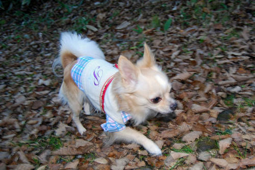 071107_keir5.jpg