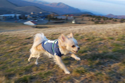 071108_royh3.jpg