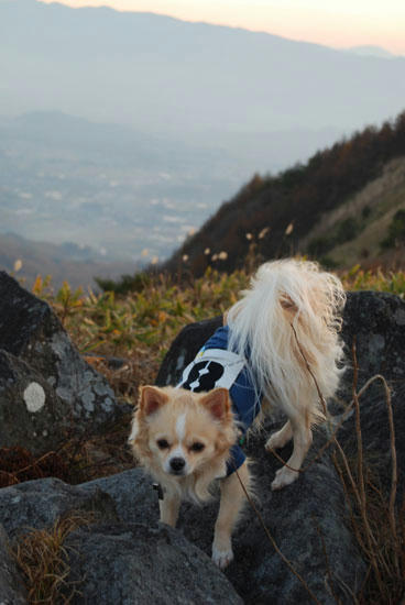 071108_royh22.jpg