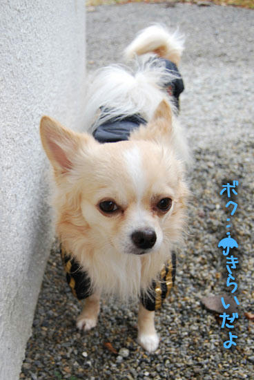 071110_ura3.jpg