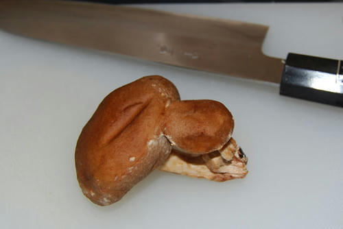 071110_ura5.jpg