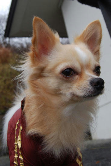 071111_ura3.jpg