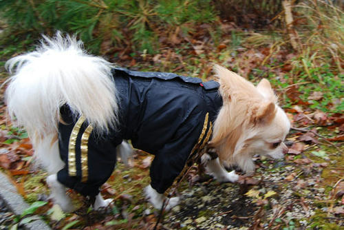 071111_ura4.jpg