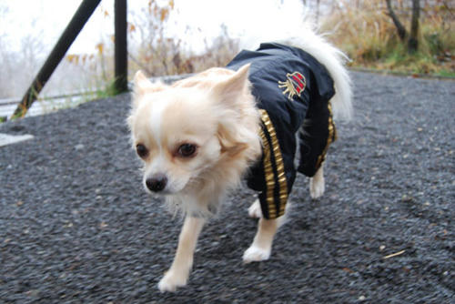 071111_ura5.jpg