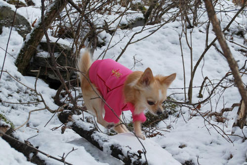 071205_miha2.jpg