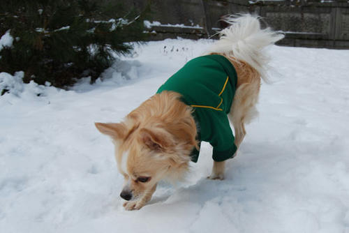 071205_miha3.jpg
