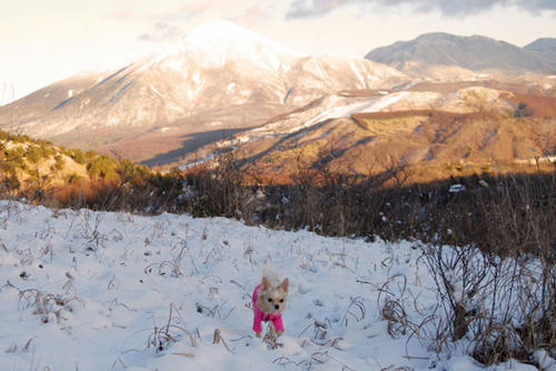 071205_miha4.jpg