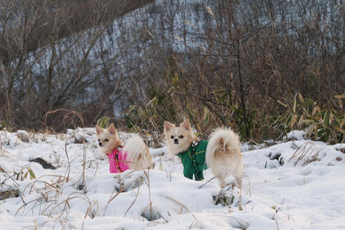 071205_miha10.jpg
