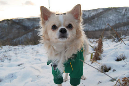 071205_miha12.jpg
