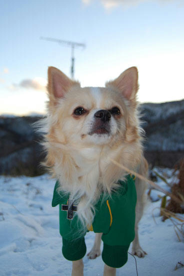 071205_miha13.jpg