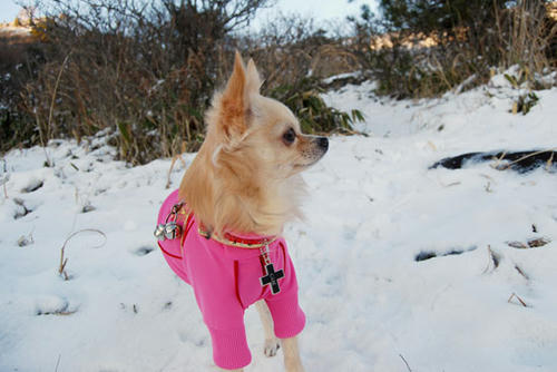 071205_miha14.jpg