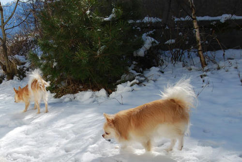 071206_ura3.jpg