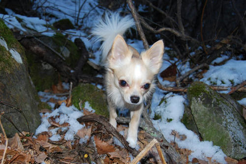 071206_ura5.jpg