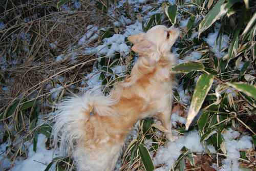 071206_ura6.jpg