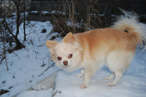 071206_ura7.jpg