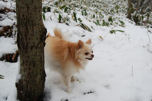 071207_ura2.jpg