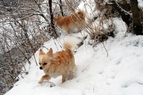 071207_ura3.jpg