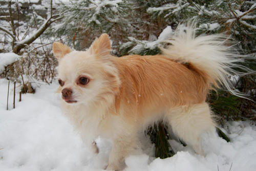 071207_ura4.jpg