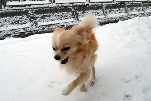 071207_ura5.jpg