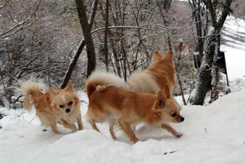 071207_ura6.jpg