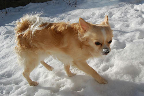 071208_ura3.jpg