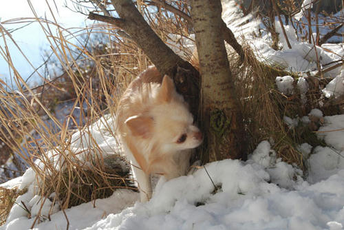 071208_ura5.jpg