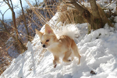 071208_ura7.jpg