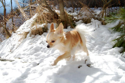 071209_ura2.jpg