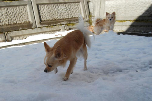 071209_ura4.jpg