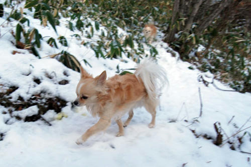 071209_ura5.jpg