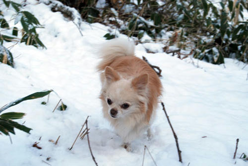 071209_ura6.jpg