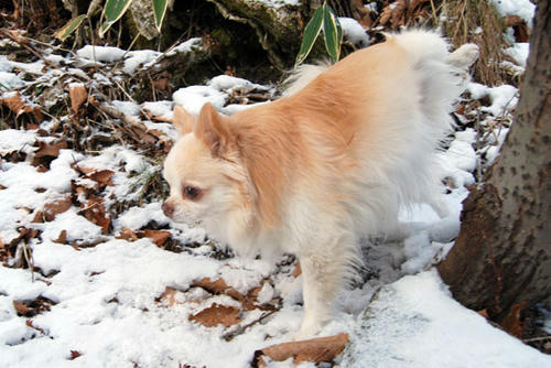 071209_ura7.jpg