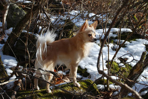 071209_ura9.jpg