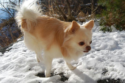 071209_ura10.jpg