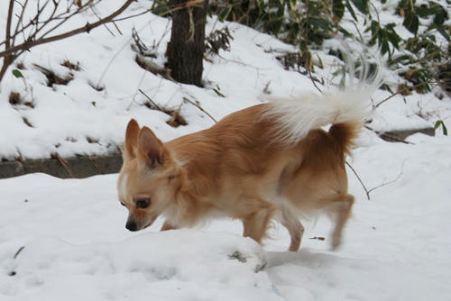 071210_ura3.jpg