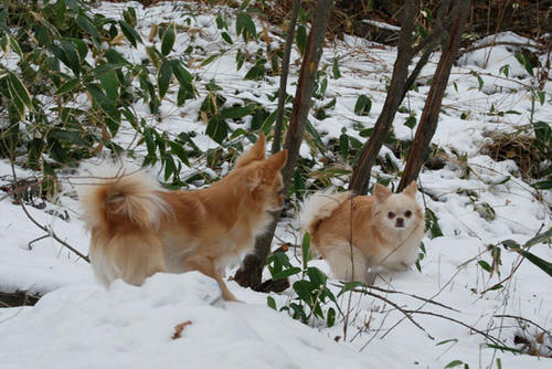071210_ura4.jpg
