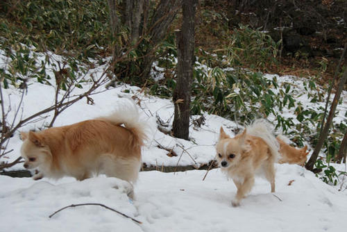 071210_ura5.jpg