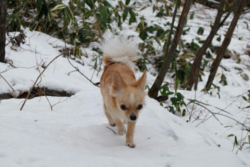071210_ura6.jpg